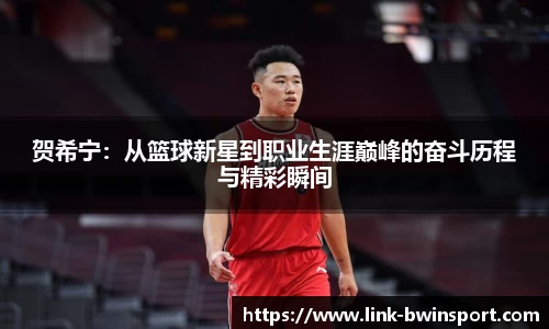 贺希宁：从篮球新星到职业生涯巅峰的奋斗历程与精彩瞬间