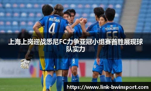 上海上岗迎战悉尼FC力争亚冠小组赛首胜展现球队实力