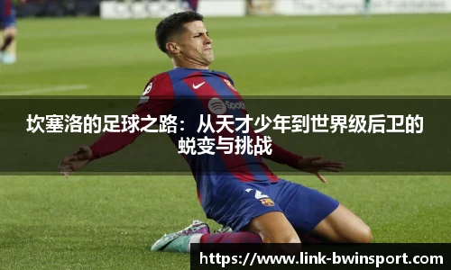 坎塞洛的足球之路：从天才少年到世界级后卫的蜕变与挑战
