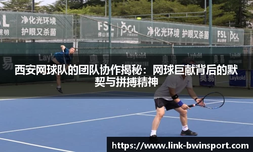 西安网球队的团队协作揭秘：网球巨献背后的默契与拼搏精神